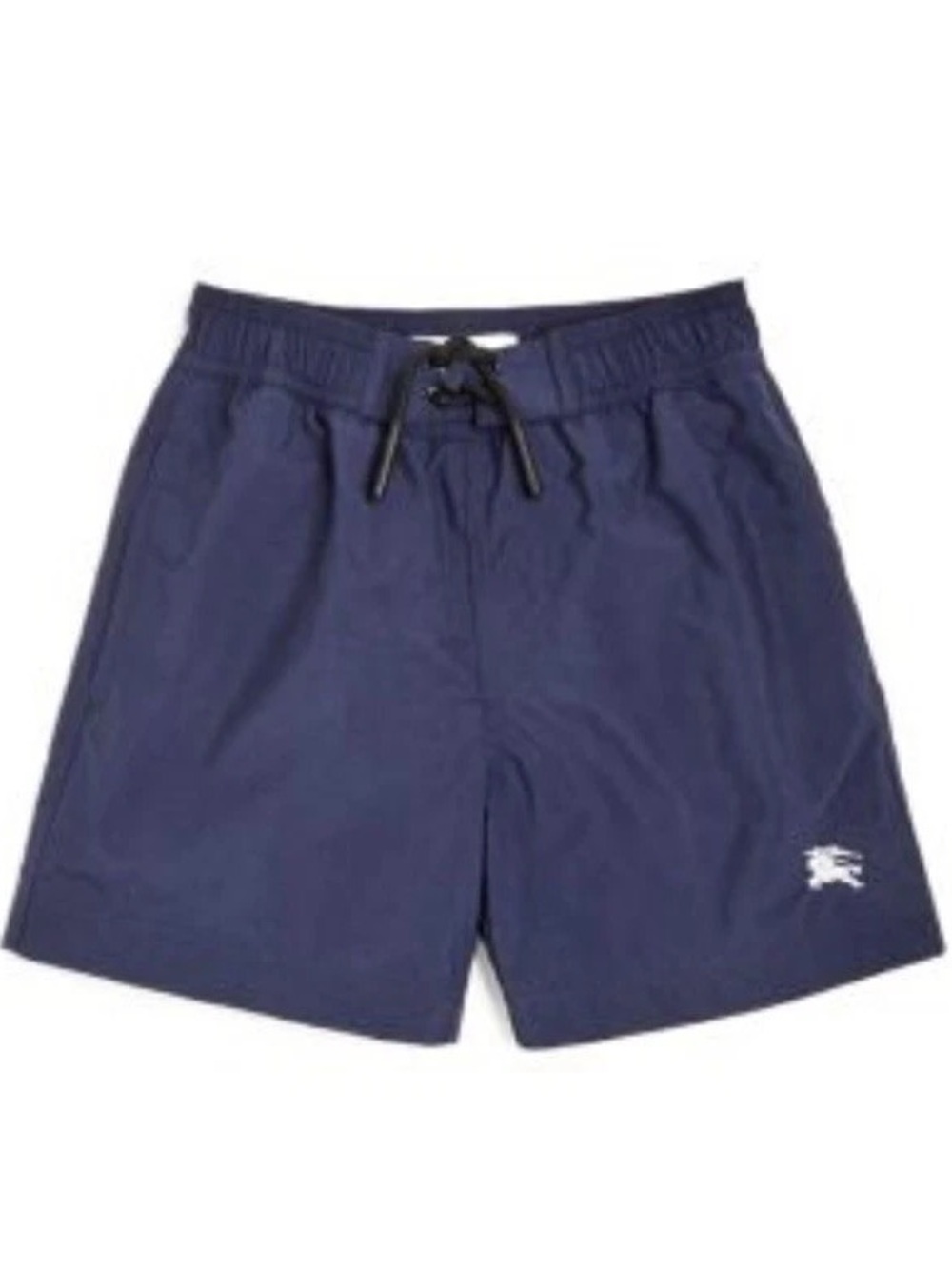 Burberry Blue Swim Trunks - Boys 14 (large)